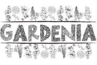 Gardenia LF: Cultivating Organic Typography for Modern Horticultural Branding